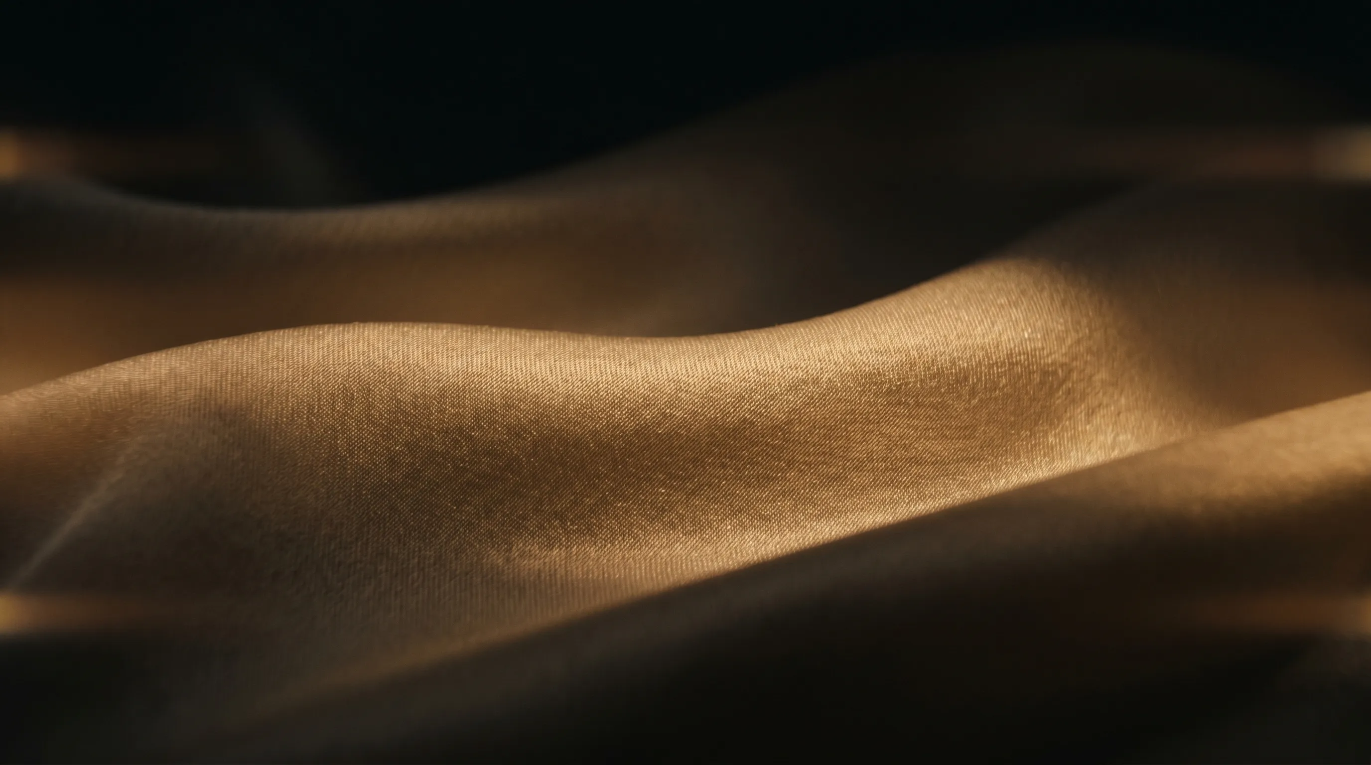 Dune Blanche