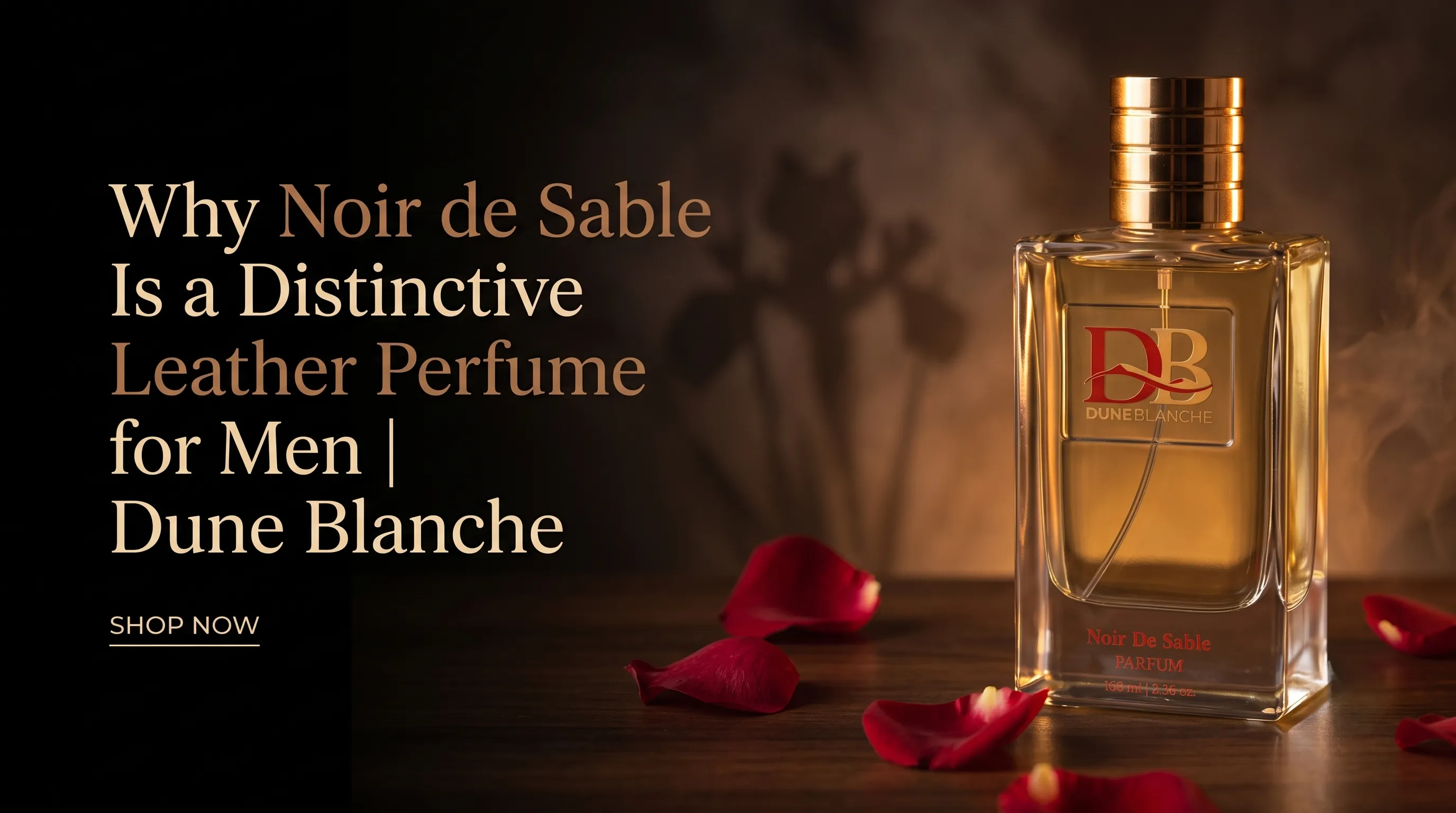 Why Noir de Sable Is a Distinctive Leather Perfume for Men | Dune Blanche
